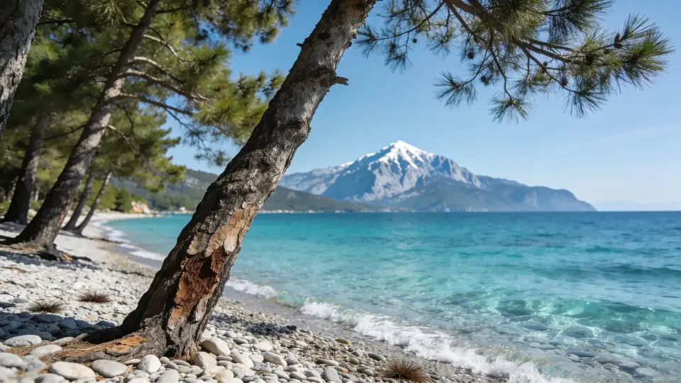 Antalya Airport to Kemer VIP Transfer Guide: Comfort and Route Insights for 2026